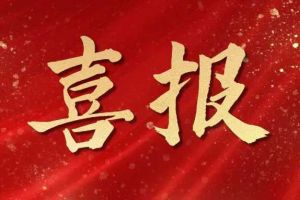 雀跃欢呼 | 欢创集团荣膺佬麻雀“最佳战略合作伙伴”